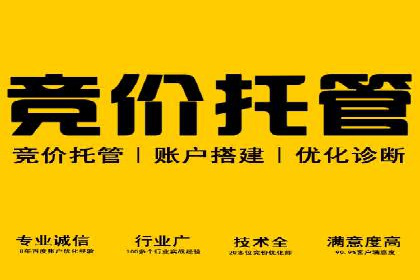 百度竞价广告在电商行业的实战应用案例